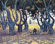 Paul Signac plane trees place des lices Germany oil painting artist